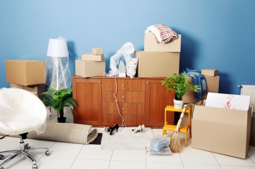 Seasonal household storage and decluttering in Belsizepark