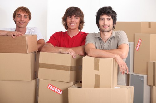 Settling into a new Belsizepark flat after a successful removal